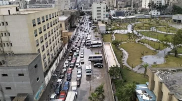 تحذيرات الأرصاد.. طقس الغربية يشهد تباينًا كبيرًا في درجات الحرارة بمعدلات غير مسبوقة